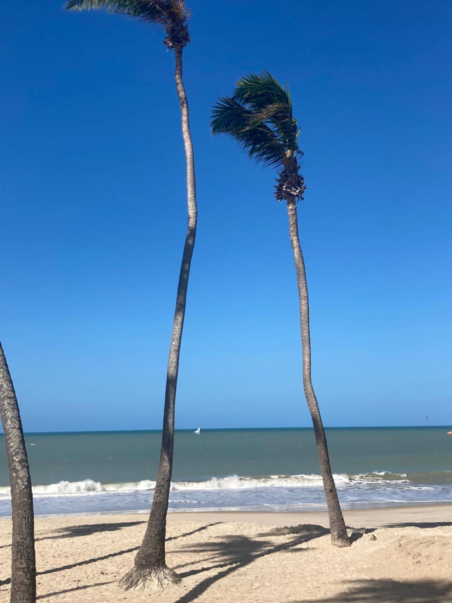 Eco Paradise Cumbuco Pe Na Areia 202 Zewnętrze zdjęcie